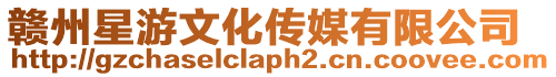 贛州星游文化傳媒有限公司
