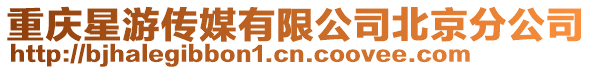 重慶星游傳媒有限公司北京分公司