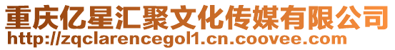 重慶億星匯聚文化傳媒有限公司
