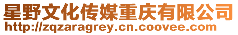星野文化傳媒重慶有限公司