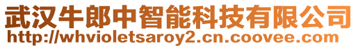 武漢牛郎中智能科技有限公司