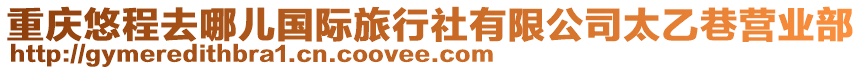 重慶悠程去哪兒國際旅行社有限公司太乙巷營業(yè)部