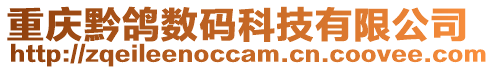 重慶黔鴿數碼科技有限公司
