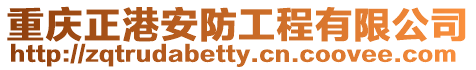 重慶正港安防工程有限公司