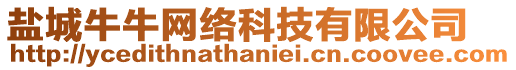 鹽城牛牛網(wǎng)絡(luò)科技有限公司
