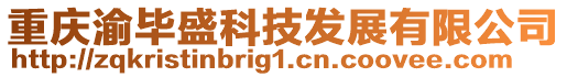 重慶渝畢盛科技發展有限公司