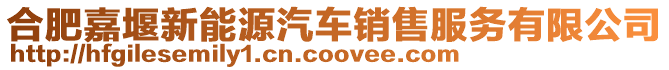 合肥嘉堰新能源汽車銷售服務(wù)有限公司