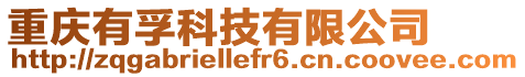 重慶有孚科技有限公司