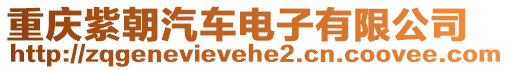 重慶紫朝汽車電子有限公司