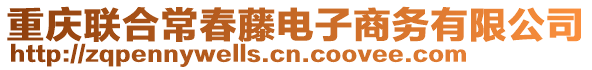 重慶聯(lián)合常春藤電子商務(wù)有限公司