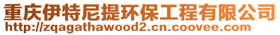 重慶伊特尼提環(huán)保工程有限公司