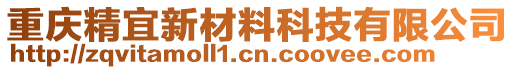 重慶精宜新材料科技有限公司