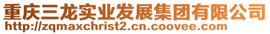 重慶三龍實(shí)業(yè)發(fā)展集團(tuán)有限公司