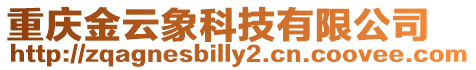 重慶金云象科技有限公司