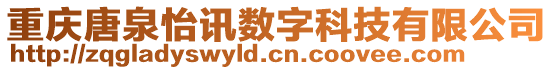 重慶唐泉怡訊數字科技有限公司