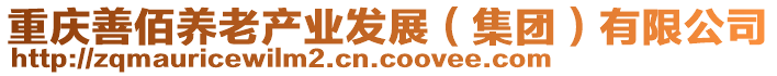 重慶善佰養(yǎng)老產(chǎn)業(yè)發(fā)展（集團(tuán)）有限公司