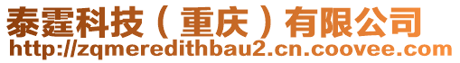 泰霆科技（重慶）有限公司