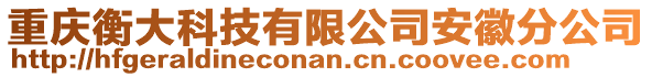 重慶衡大科技有限公司安徽分公司