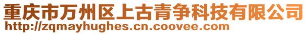 重慶市萬(wàn)州區(qū)上古青爭(zhēng)科技有限公司