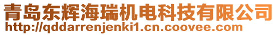 青島東輝海瑞機(jī)電科技有限公司