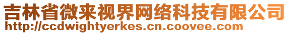 吉林省微來(lái)視界網(wǎng)絡(luò)科技有限公司