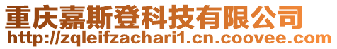 重慶嘉斯登科技有限公司