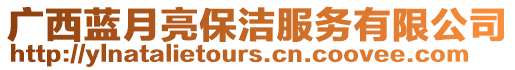 廣西藍月亮保潔服務有限公司