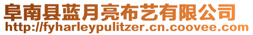 阜南縣藍(lán)月亮布藝有限公司