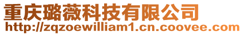 重慶璐薇科技有限公司