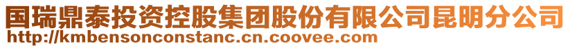 國瑞鼎泰投資控股集團股份有限公司昆明分公司