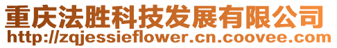 重慶法勝科技發(fā)展有限公司