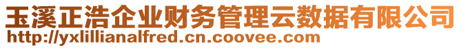 玉溪正浩企業(yè)財務管理云數(shù)據(jù)有限公司