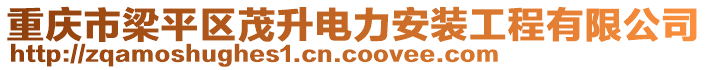 重慶市梁平區(qū)茂升電力安裝工程有限公司