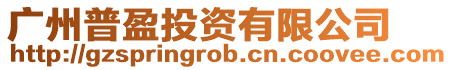 廣州普盈投資有限公司