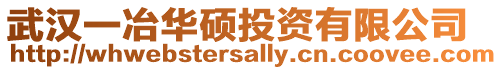 武漢一冶華碩投資有限公司