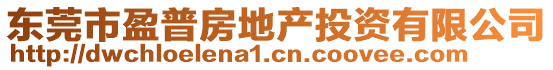 東莞市盈普房地產(chǎn)投資有限公司