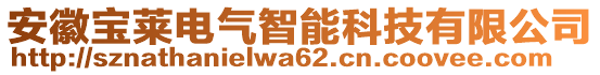 安徽寶萊電氣智能科技有限公司