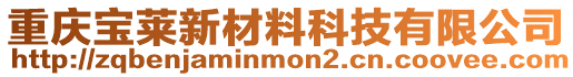 重慶寶萊新材料科技有限公司