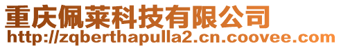 重慶佩萊科技有限公司