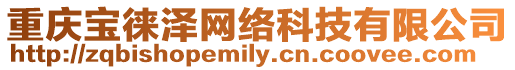 重慶寶徠澤網絡科技有限公司