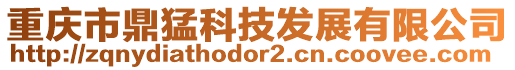 重慶市鼎猛科技發(fā)展有限公司