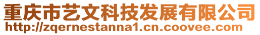 重慶市藝文科技發(fā)展有限公司