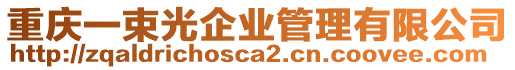 重慶一束光企業(yè)管理有限公司