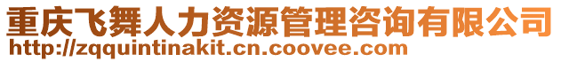 重慶飛舞人力資源管理咨詢有限公司
