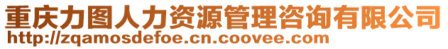 重慶力圖人力資源管理咨詢有限公司
