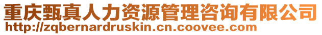 重慶甄真人力資源管理咨詢有限公司