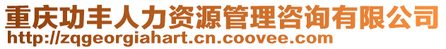 重慶功豐人力資源管理咨詢有限公司