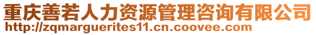 重慶善若人力資源管理咨詢有限公司