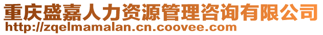 重慶盛嘉人力資源管理咨詢有限公司