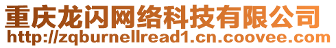 重慶龍閃網絡科技有限公司